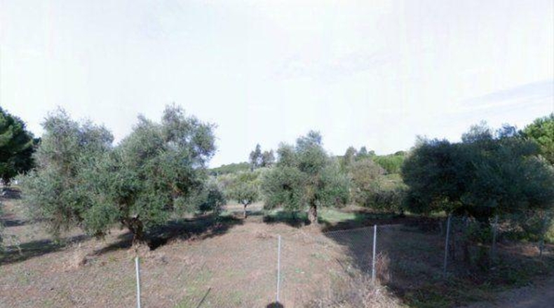 Córdoba - Córdoba - 3000m2