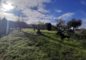 Suelo urbano en venta en la España, Cañaveral, ref: TR126697 foto