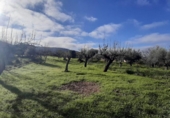Suelo urbano en venta en la España, Cañaveral, ref: TR126697 foto