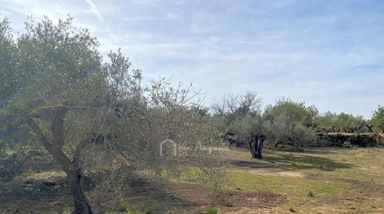 Tarragona - el Perelló - 13793m2