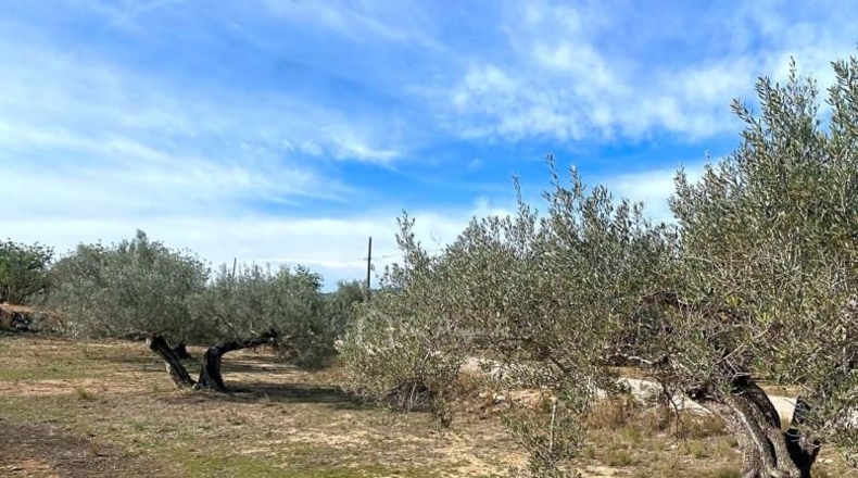 Tarragona - el Perelló - 13793m2