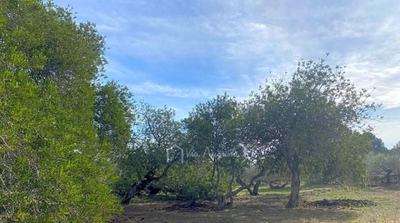 Tarragona - el Perelló - 13793m2