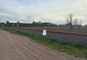 Non-developable land for sale on España, Morales del Vino, ref: TR131876 photo