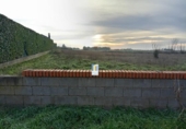 Non-developable land for sale on España, Morales del Vino, ref: TR131876 photo