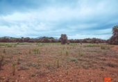 Terreno no urbanizable en venta en la España, Santa Bàrbara, ref: TR174139 foto