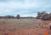 Terreno no urbanizable en venta en la España, Santa Bàrbara, ref: TR174139 foto