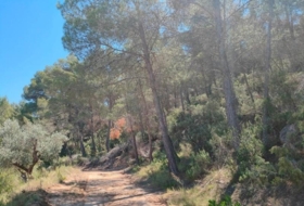 Foto 11