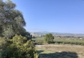 Chalet independiente con terreno en venta en la España, Ginestar, ref: TR304254 foto