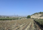 Chalet independiente con terreno en venta en la España, Ginestar, ref: TR304254 foto