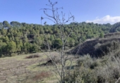 Chalet independiente con terreno en venta en la España, Ginestar, ref: TR304254 foto