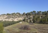 Chalet independiente con terreno en venta en la España, Ginestar, ref: TR304254 foto