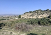 Chalet independiente con terreno en venta en la España, Ginestar, ref: TR304254 foto