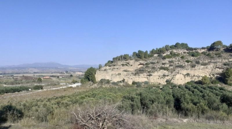 Tarragona - Ginestar - 1m2