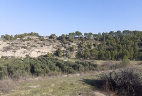 Foto 10