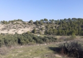 Chalet independiente con terreno en venta en la España, Ginestar, ref: TR304254 foto
