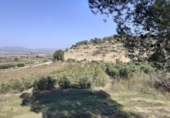 Chalet independiente con terreno en venta en la España, Ginestar, ref: TR304254 foto