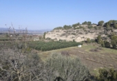 Chalet independiente con terreno en venta en la España, Ginestar, ref: TR304254 foto
