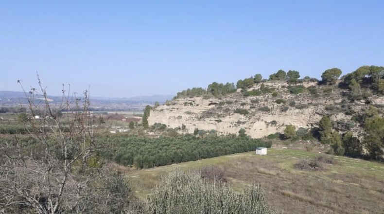 Tarragona - Ginestar - 1m2
