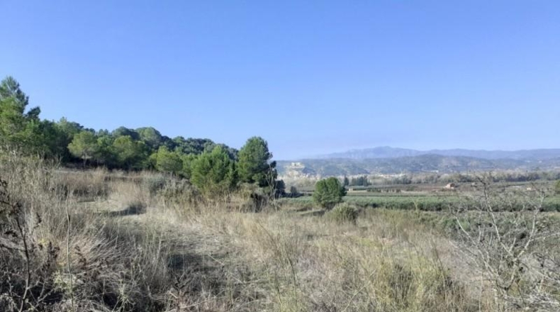 Tarragona - Ginestar - 1m2