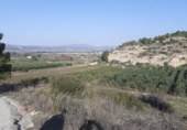 Chalet independiente con terreno en venta en la España, Ginestar, ref: TR304254 foto