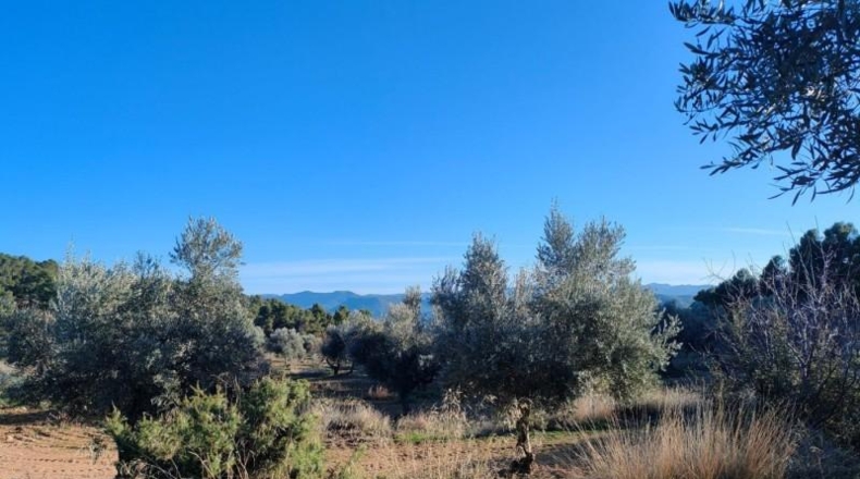 Álava - Fresneda - 40416m2