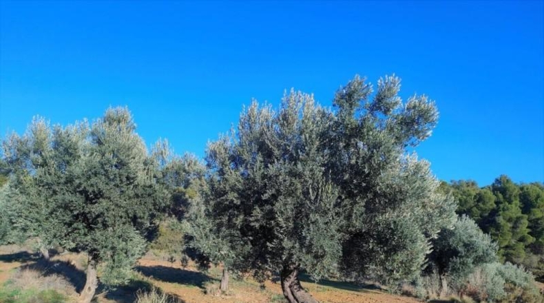 Álava - Fresneda - 40416m2