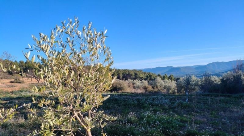 Álava - Fresneda - 40416m2