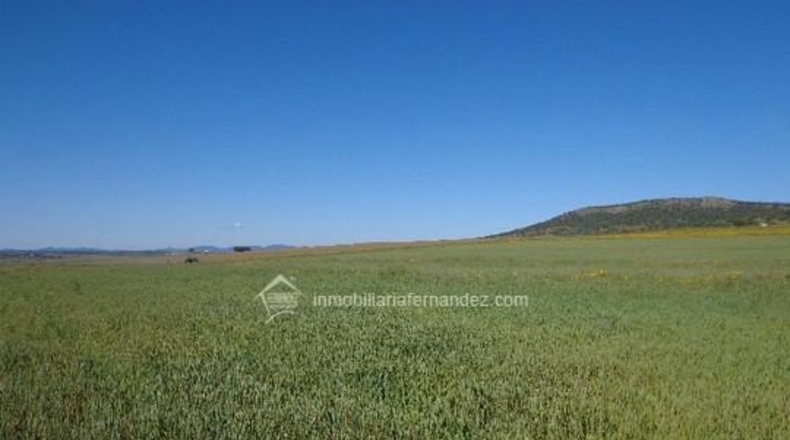 Cáceres - Sierra de Fuentes - 5500m2