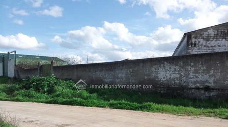 Cáceres - Brozas - 660m2