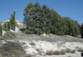 Suelo urbano en venta en la España, Cuéllar, ref: TR115787 foto