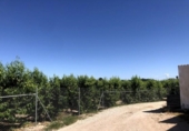 Terreno no urbanizable en venta en la España, Abarán, ref: TR227789 foto