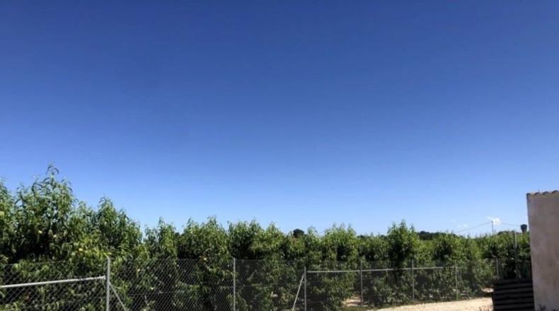 Múrcia - Abarán - 3828m2