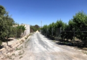 Terreno no urbanizable en venta en la España, Abarán, ref: TR227789 foto
