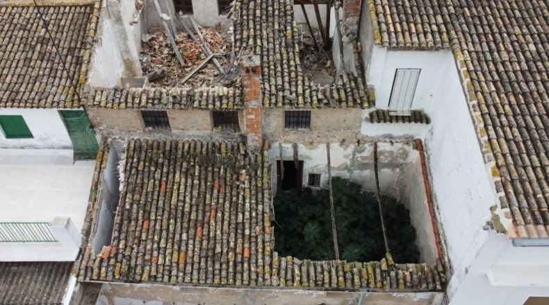 Alicante - Dolores - 435m2