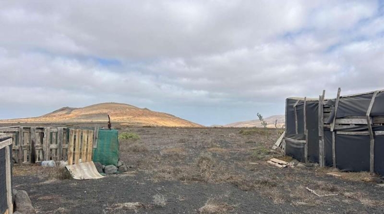 Las Palmas - Teguise - 11330m2