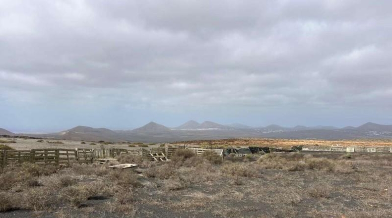 Las Palmas - Teguise - 11330m2