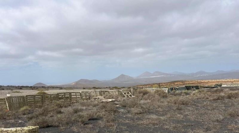Las Palmas - Teguise - 11330m2