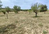 Terreny no urbanitzable en venda a la España, Almansa, ref.: TR318402 foto