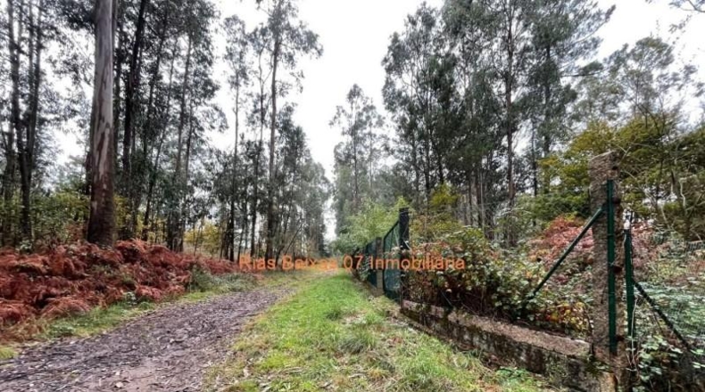 Pontevedra - Porriño - 3133m2
