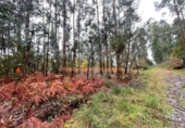 Terreno no urbanizable en venta en la España, Porriño, ref: TR116717 foto