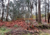 Terreno no urbanizable en venta en la España, Porriño, ref: TR116717 foto
