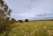 Terreno no urbanizable en venta en la España, Santa Eugènia, ref: TR391459 foto