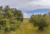 Terreno no urbanizable en venta en la España, Santa Eugènia, ref: TR391459 foto