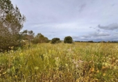 Terreno no urbanizable en venta en la España, Santa Eugènia, ref: TR391459 foto