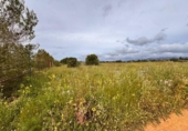 Terreno no urbanizable en venta en la España, Santa Eugènia, ref: TR391459 foto