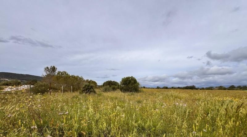 Balearic Islands - Santa Eugènia - 2116m2