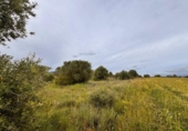 Terreno no urbanizable en venta en la España, Santa Eugènia, ref: TR391459 foto