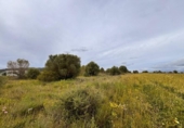 Terreno no urbanizable en venta en la España, Santa Eugènia, ref: TR391459 foto