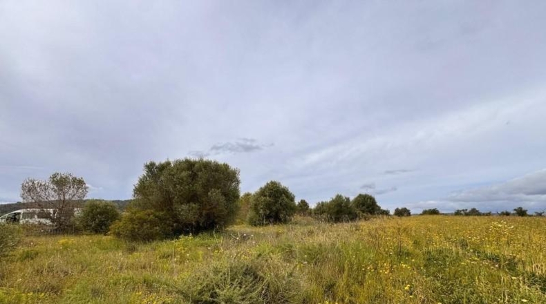 Balearic Islands - Santa Eugènia - 2116m2