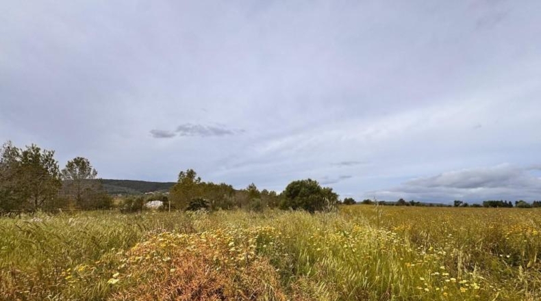 Balearic Islands - Santa Eugènia - 2116m2